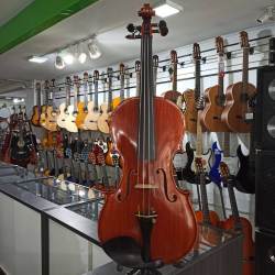 VIOLIN 4/4 CREMONA SV700 +...