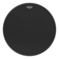 PARCHE 20" REMO P31020ES...