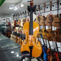 VIOLIN 4/4 CREMONA SV600 +...