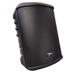 CAJA ACTIVA .6,5" AUDIO...