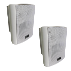 PARLANTE PARED ENGLAND...