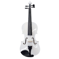 VIOLIN 4/4 GT 9IM363...
