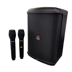 CAJA ACTIVA .8" ITALY AUDIO...