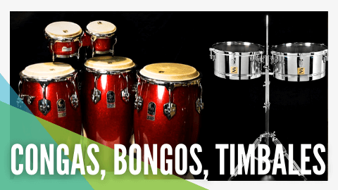 timbales, CONGAS Y BONGOS